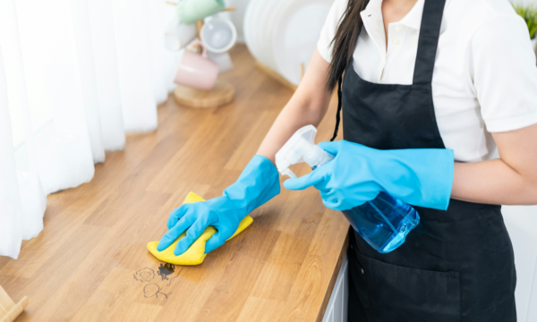 Milky Way Maid Service